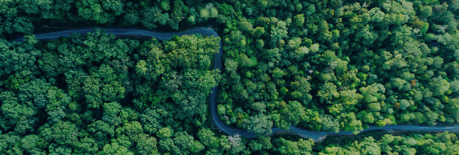 低碳用电，从选择开始